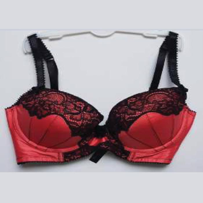 Avah Plunge Bra